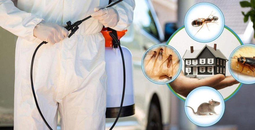 Bünyan Böcek İlaçlama