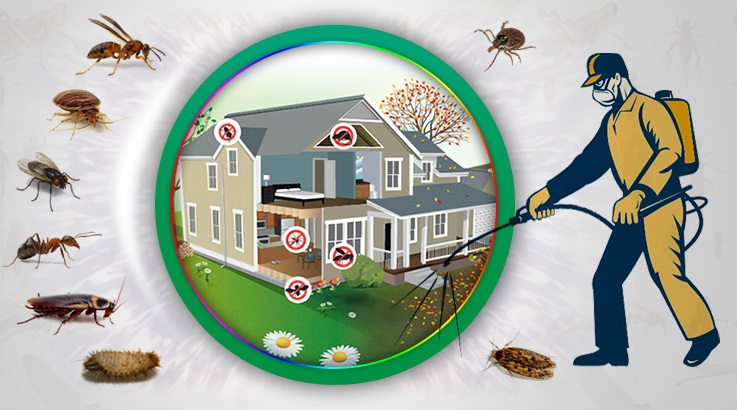 Bünyan Böcek İlaçlama