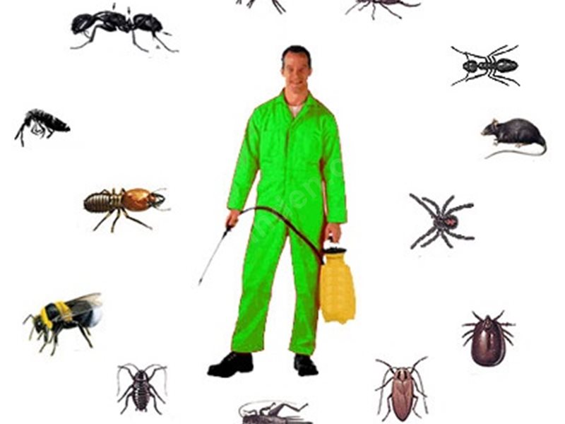 Bünyan Böcek İlaçlama